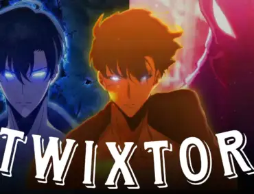 Sung Jinwoo vs Beru Twixtor