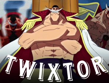 Whitebeard Twixtor 4K+CC