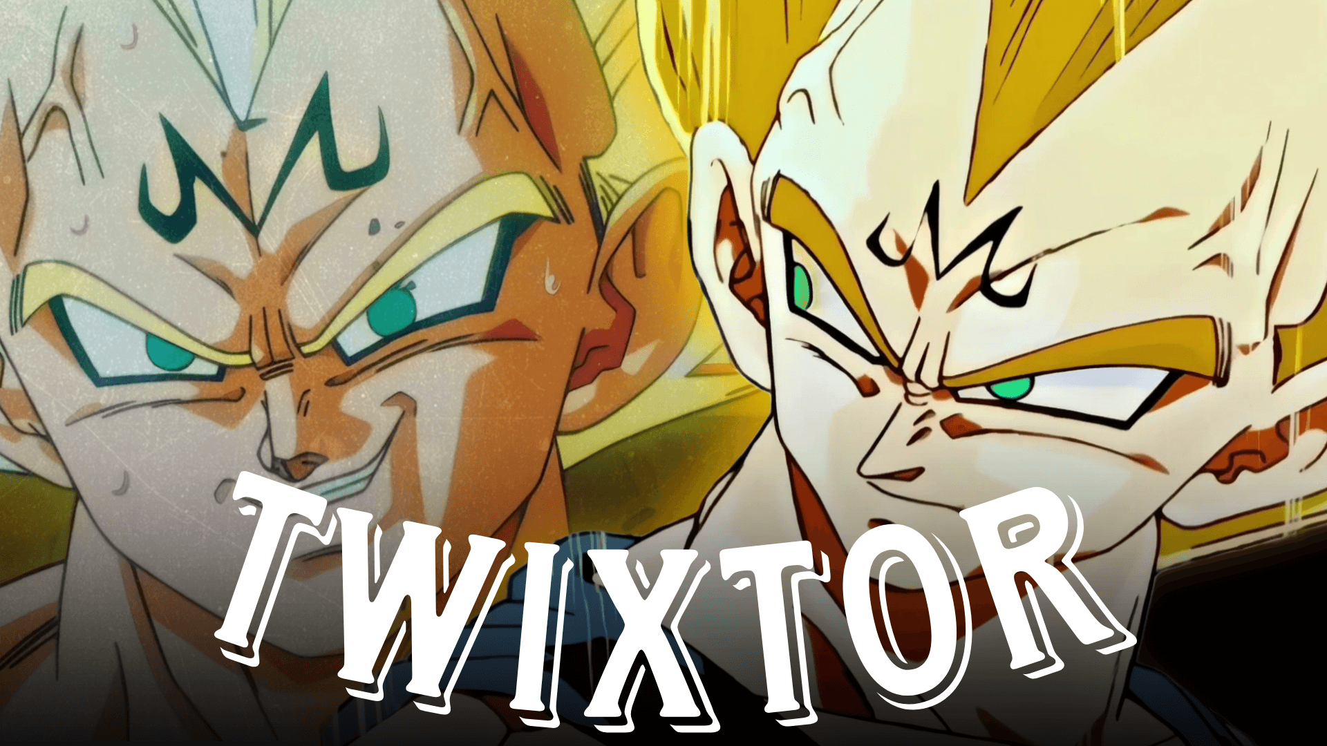 Vegeta Twixtor