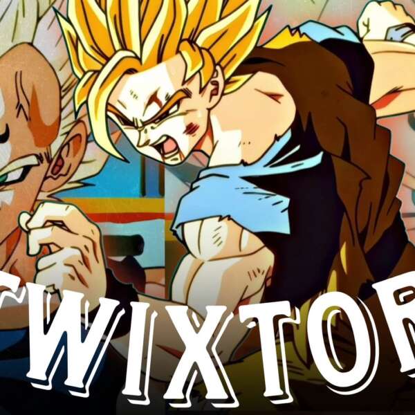 Goku vs Majin Vegeta Twixtor