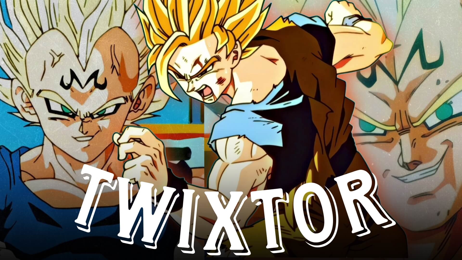 Goku vs Majin Vegeta Twixtor