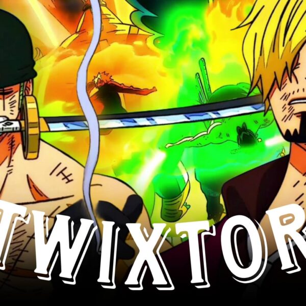 Zoro and Sanji vs King and Queen Twixtor