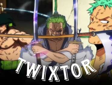 Zoro Twixtor Clips