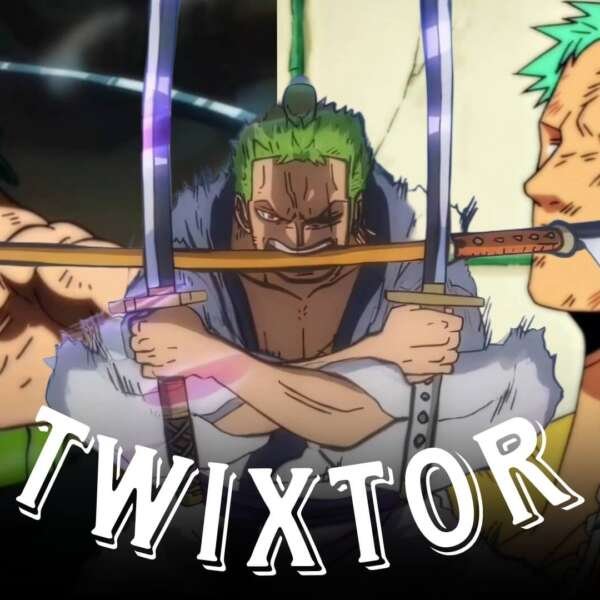 Zoro Twixtor Clips