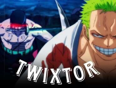 Roronoa Zoro Twixtor clips