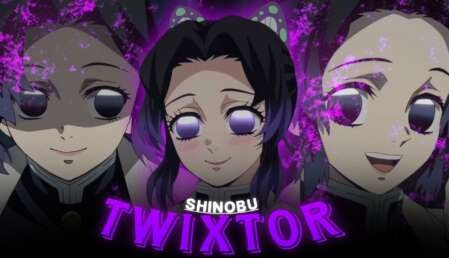 Shinobu Twixtor Clips